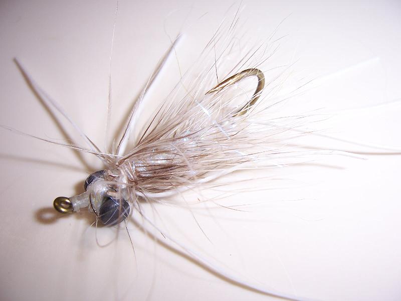 10-12 carp teasers 004.jpg